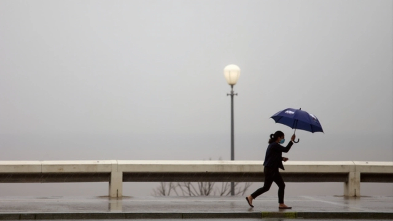 Alerta Metereológico: Estados Brasileiros em Aviso de Chuvas Fortes